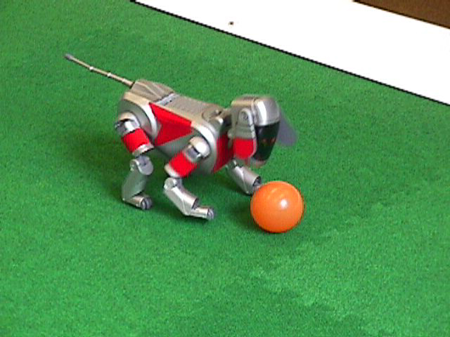 Robot