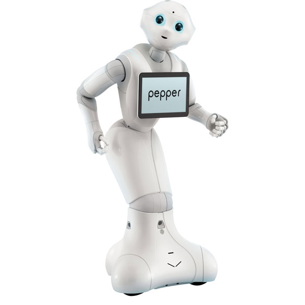 Robot